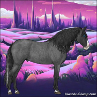 Horse Color:Blue Roan Splash 