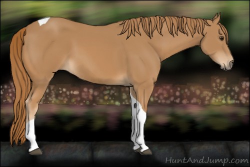 Horse Color:Chestnut Tobiano