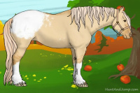Horse Color:Palomino Dun Varnish 