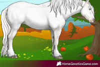 Horse Color:Cremello Near Fewspot 