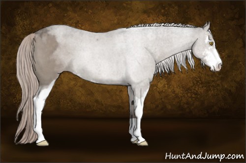Horse Color:Silver Grullo Roan Sabino 