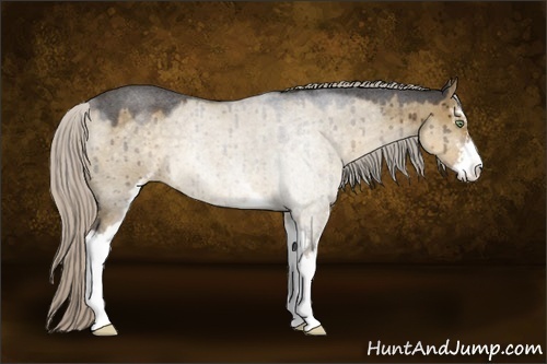 Horse Color:Silver Smoky Grullo Roan Sabino Brindle 