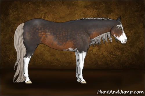 Horse Color:Silver Smoky Black Sabino 
