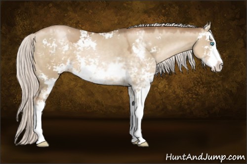 Horse Color:Silver Smoky Grullo Pearl Sabino 