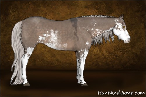 Horse Color:Silver Grullo Sabino 