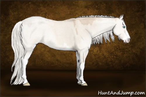 Horse Color:Silver Smoky Creme Roan Dun Sabino 