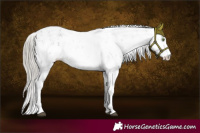 Horse Color:Silver Smoky Black Sabino 