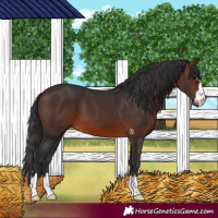 Horse Color:Brown 