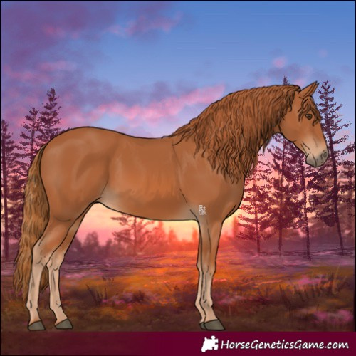 Horse Color:Chestnut 