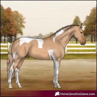 Horse Color:Red Dun Tobiano 