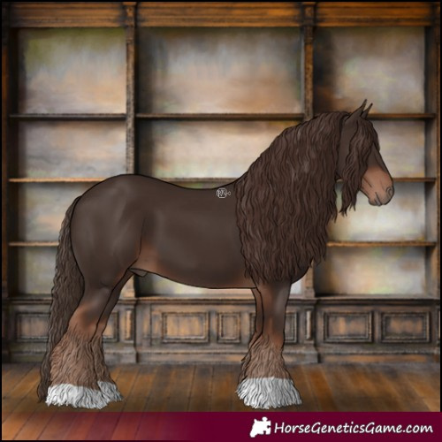 Horse Color:Liver Chestnut 