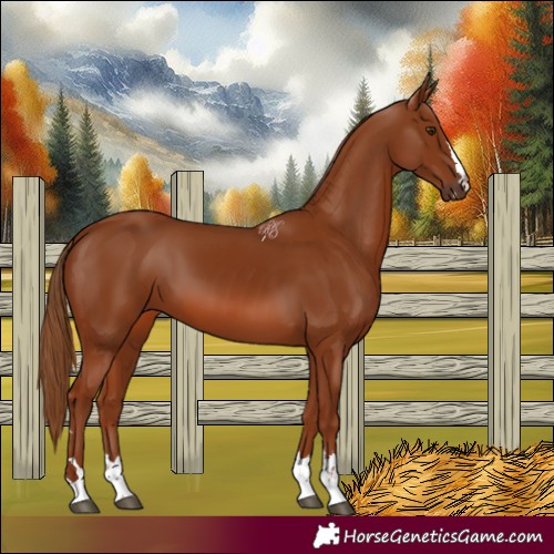 Horse Color:Chestnut 