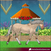 Horse Color:Silver Bay Dun Tobiano 