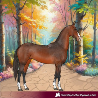 Horse Color:Bay Appaloosa 