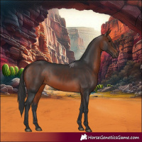 Horse Color:Brown 