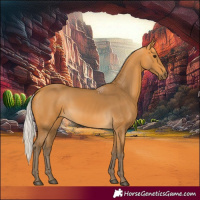 Horse Color:Silver Buckskin 