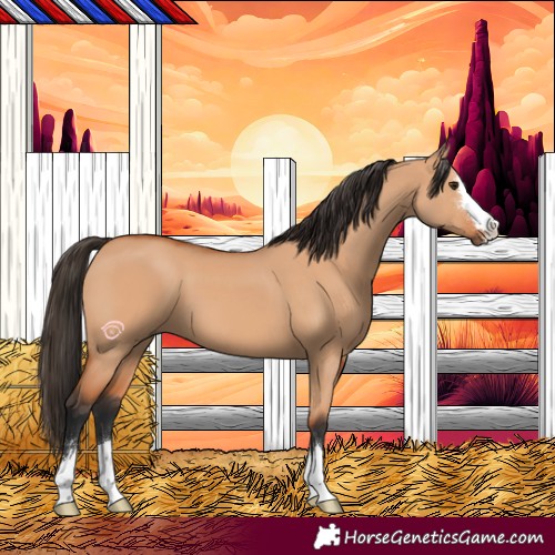 Horse Color:Bay Dun 