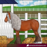 Horse Color:Silver Bay 