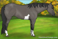 Horse Color:Grullo Tobiano 
