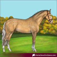 Horse Color:Silver Sable Cream Champagne 