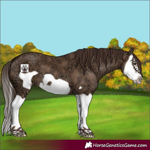 Horse Color:Liver Red Dun Ice Splash Frame 