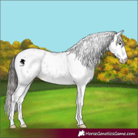 Horse Color:Liver Red Dun Sabino Brindle 