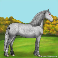 Horse Color:Silver Grullo Chinchilla Sabino 