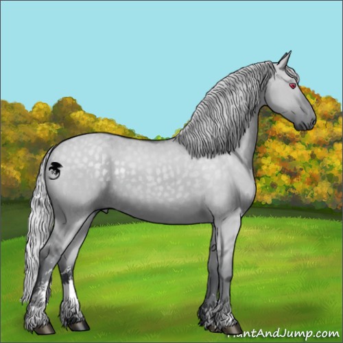 Horse Color:Silver Grullo Chinchilla Sabino 