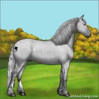 Horse Color:Silver Grullo Chinchilla Sabino 