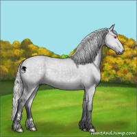 Horse Color:Silver Grullo Chinchilla Sabino 