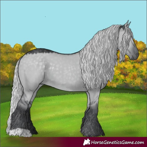 Horse Color:Silver Grullo Chinchilla 