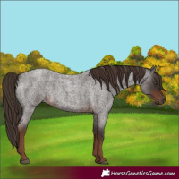 Horse Color:Liver Red Roan 
