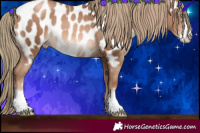 Horse Color:Liver Chestnut Pearl Sabino Near Leopard 