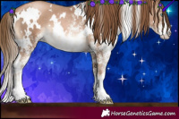 Horse Color:White Spotted Liver Chestnut Pearl 