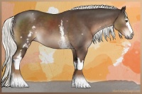 Horse Color:White Spotted Liver Chestnut Mushroom