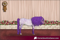 Horse Color:Watercolor Buckskin Roan 