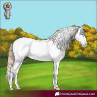 Horse Color:Gold Champagne Roan Dun Splash Tobiano Frame Appaloosa Rabicano 