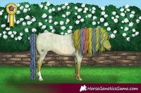 Horse Color:Painted Watercolor Red Roan 