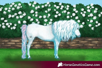 Horse Color:Gray Thunderstruck Red Roan Tobiano 