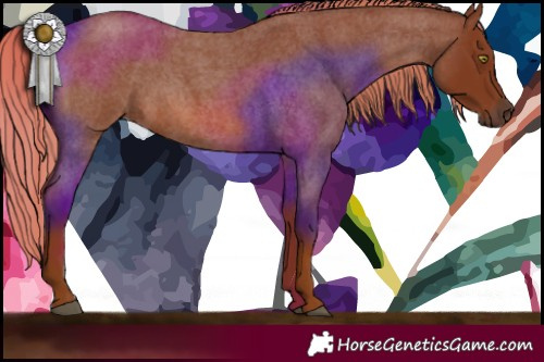 Horse Color:Red Roan 