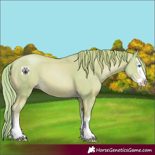 Horse Color:Watercolor Gold Champagne Splash 