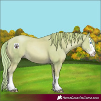 Horse Color:Watercolor Gold Champagne Splash