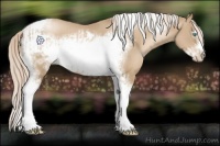 Horse Color:Chocolate Palomino Pearl Tobiano Frame and Chocolate Palomino Pearl Tobiano Frame Rabicano