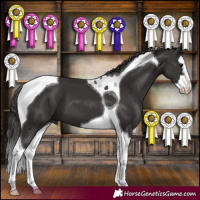 Horse Color:Smoky Black Splash Tobiano 