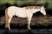 Horse Color:White Spotted Bay Roan Pearl 