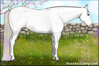 Horse Color:Nacre Chocolate Silver Blue Onyx Sabino Appaloosa 