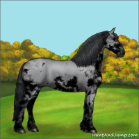 Horse Color:Void White Spotted Grullo Chinchilla Splash 