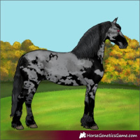 Horse Color:Void White Spotted Grullo Chinchilla Splash 
