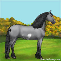 Horse Color:Chocolate Grullo Chinchilla Frame 