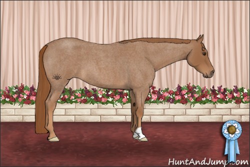 Horse Color:Red Roan